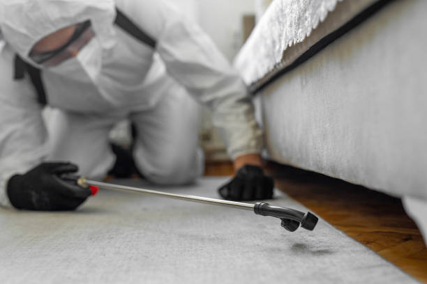 Professional Termite Control technician working in Bourbon, MO