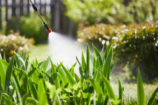 24/7 Emergency Termite Control experts in Bourbon, MO