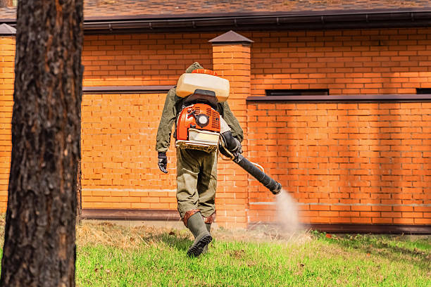 Top rated local Termite Control specialists in Bourbon, MO